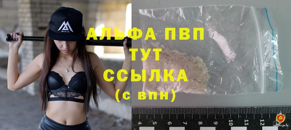 мяу мяу мука Баксан